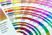 /album/la-tinta/color-jpg1/